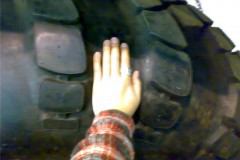 thumbs_20101120913