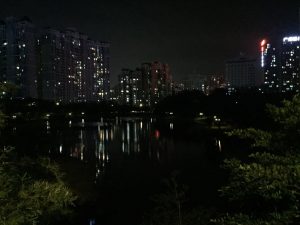 268311226878942340